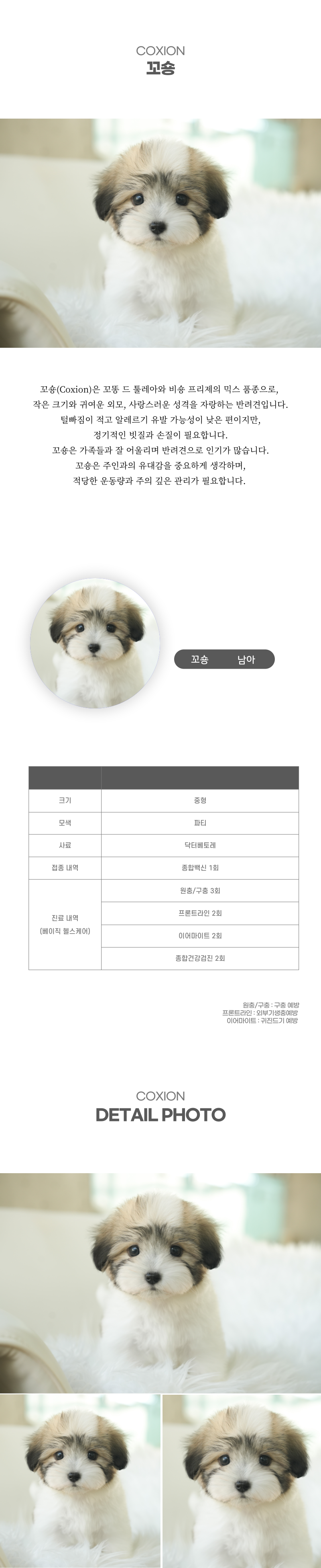 꼬숑_상세이미지_2